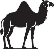vlak ontwerp kameel silhouet, kameel grafisch icoon. kameel zwart teken geïsoleerd Aan wit achtergrond. kameel symbool van woestijn. illustratie vector