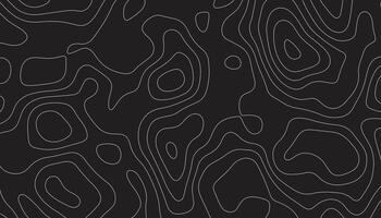 abstract patroon met lijnen. achtergrond van de topografisch kaart. verhoging contouren schets cartografie textuur. geografisch abstract rooster. futuristische wireframe landt. zwart en wit naadloos patroon vector