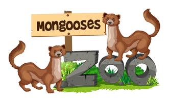 Mongoezen die zich op dierenteken bevinden vector
