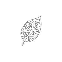 een doorlopende lijntekening schattige tropische blad aglaonema plant. afdrukbaar decoratief exotisch kamerplantconcept voor het decorornament van de huismuur. moderne enkele lijn tekenen grafisch ontwerp vectorillustratie vector