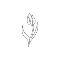 één enkele lijntekening van schoonheids verse tulp voor tuinlogo. decoratief holland nationaliteit bloem concept huis muur decor poster print art. moderne doorlopende lijn tekenen ontwerp vectorillustratie vector