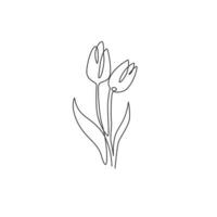 een enkele lijntekening van schoonheid verse tulp voor logo. afdrukbare decoratieve holland nationaliteit bloem concept voor muur home decor poster art. moderne doorlopende lijn tekenen ontwerp vectorillustratie vector