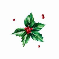 waterverf Kerstmis hulst BES. nieuw jaar botanisch december symbool illustratie geïsoleerd Aan wit achtergrond. voor ontwerpers, decoratie, winkel, voor ansichtkaarten, omhulsel pape vector