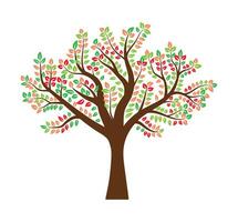 abstract kleurrijk boom icoon ontwerp. groei en wijsheid logo ontwerp. groen boom icoon. vector