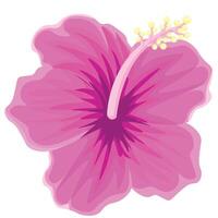 hand- getrokken hibiscus bloem vector