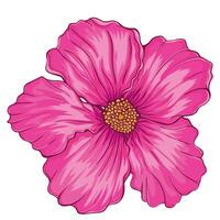 hand- getrokken hibiscus bloem vector