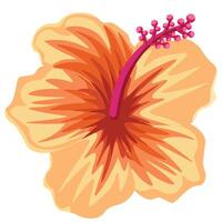 hand- getrokken hibiscus bloem vector