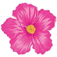 hand- getrokken hibiscus bloem vector