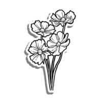 bundel van kosmos bloemen bloeien Aan wit silhouet en grijs schaduw. hand- getrokken tekenfilm stijl. illustratie voor versieren, kleur en ieder ontwerp. vector