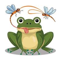 schattig tekenfilm kikker set, animatie kozijnen. aanbiddelijk weinig froggy lachend, springen, kwaken, golvend en vangen vlieg met tong. gemakkelijk vlak stijl illustratie. vector
