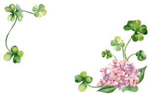 banier met roze hortensia en Klaver waterverf illustratie geïsoleerd Aan wit. geschilderd kleurrijk bloemen Pasen kaart. hand- getrokken Iers symbool. ontwerp voor st.patricks dag, lente kader, pakket vector