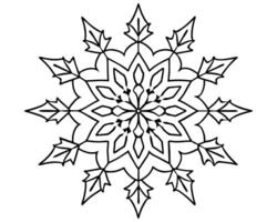 sneeuwvlok schetsen hand- tekening vector