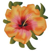 hibiscus bloem illustratie vector