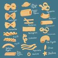 reeks met divers vormen van pasta met namen. verzameling van illustraties, geschikt voor de zichtbaar ontwerp van Italiaans keuken. ontwerp, culinaire projecten. veel types van single pasta in een rij vector