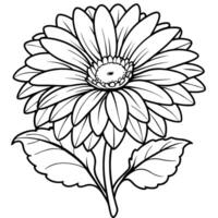 gerbera madeliefje bloem schets illustratie kleur boek bladzijde ontwerp, gerbera madeliefje bloem zwart en wit lijn kunst tekening kleur boek Pagina's voor kinderen en volwassenen vector