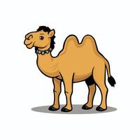 cartoon kameel geïsoleerd op witte achtergrond vector
