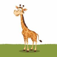 schattig giraffe dier geïsoleerd vlak illustratie wit achtergrond vector