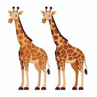 schattig giraffe dier geïsoleerd vlak illustratie wit achtergrond vector