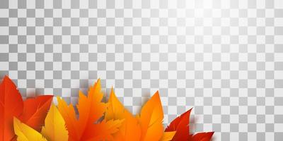 realistische gele, rode, oranje bladeren werpen een mooie schaduw. geïsoleerd herfstgebladerte op een transparante achtergrond. vector illustratie