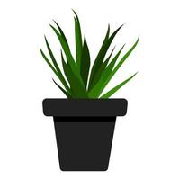 huisbloem, plant in een pot, vector realistische succulent in een pot. decoratieve kamerplant. vector illustratie