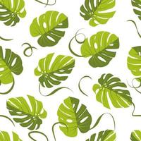 monstera blad patroon, palm blad naadloze achtergrond. vector illustratie