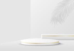 abstract realistisch 3d kamer wit cilinder voetstuk podium. minimaal tafereel en een ronde stadium voor Product Scherm en reclame. vector