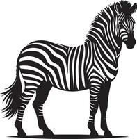 silhouet van zebra illustratie vector