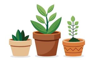 planten in klei potten, vlak illustratie vector