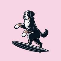 illustratie van een bernese berg hond spelen surfplanken vector