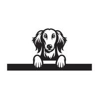 hond gluren - saluki hond gluren gezicht illustratie in zwart en wit vector