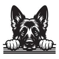 hond gluren - Duitse herder hond gluren gezicht illustratie in zwart en wit vector