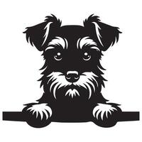 illustratie van een miniatuur schnauzer hond gluren gezicht in zwart en wit vector