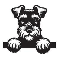 hond gluren - merengebied terriër hond gluren gezicht illustratie in zwart en wit vector