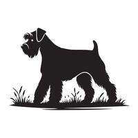 miniatuur schnauzer wandelen illustratie in zwart en wit vector