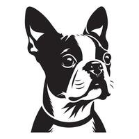 hond logo - een attent Boston terriër hond gezicht illustratie in zwart en wit vector