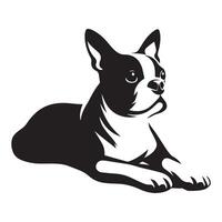 een ontspannen Boston terriër hond illustratie in zwart en wit vector
