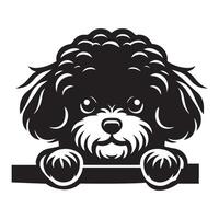 hond gluren - bichon frise hond gluren gezicht illustratie in zwart en wit vector