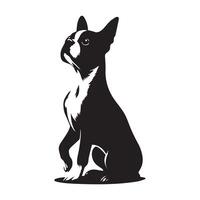Boston terriër hond zittend illustratie in zwart en wit vector