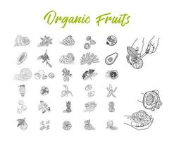 fruitcollectie in platte handgetekende stijl, illustraties set. vector