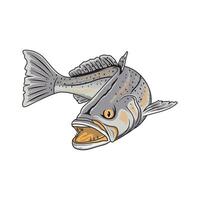 gespikkeld forel visvangst illustratie logo beeld t overhemd vector