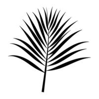 silhouet van palm blad a, reeks van palm bladeren silhouetten vector