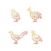 landvogels gradiënt lineaire vector iconen set. Japanse kwartel. fazant familie. parelhoen. commerciële pluimveehouderij. dunne lijn contour symbolen bundel. geïsoleerde overzicht illustraties collectie