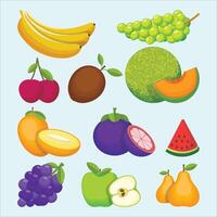 een reeks van fruit pictogrammen, inclusief bananen, appels, watermeloen, en meer vector