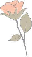 bloemen botanisch Afdeling in vlak tekenfilm ontwerp. wijnoogst bloem. isolatd illustratie. vector