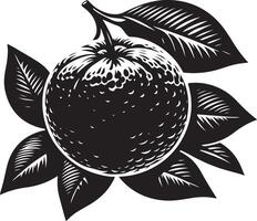 clementine, fruit silhouet, zwart kleur silhouet vector