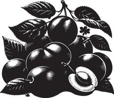 damson pruim, fruit silhouet, zwart kleur silhouet vector