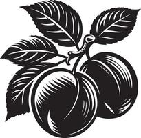 damson pruim, fruit silhouet, zwart kleur silhouet vector