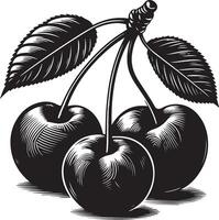 kersen, fruit silhouet vector