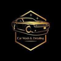 auto wassen detaillering logo ontwerp vector