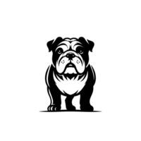 bulldog hond illustratie. geïsoleerd Aan wit achtergrond vector